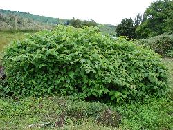 Image: Trevor James © Trevor James 